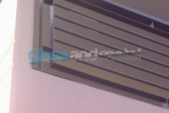 anas5-4